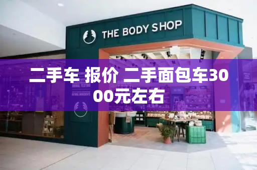 二手车 报价 二手面包车3000元左右-第1张图片-星选测评