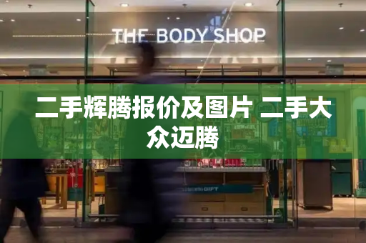 二手辉腾报价及图片 二手大众迈腾-第1张图片-星选测评