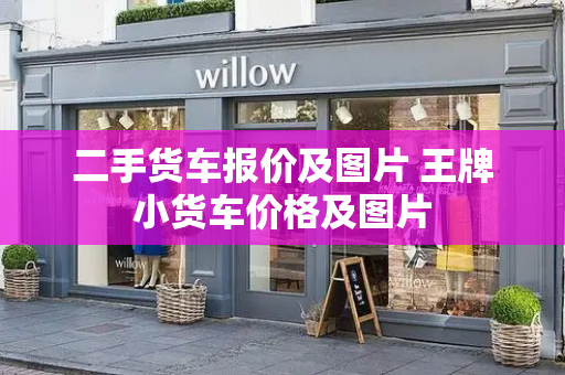二手货车报价及图片 王牌小货车价格及图片