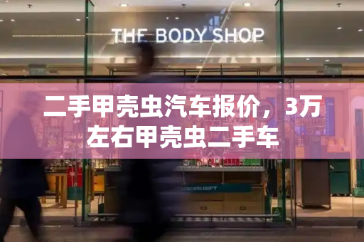 二手甲壳虫汽车报价，3万左右甲壳虫二手车