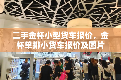二手金杯小型货车报价，金杯单排小货车报价及图片