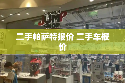二手帕萨特报价 二手车报价