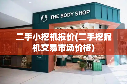 二手小挖机报价(二手挖掘机交易市场价格)