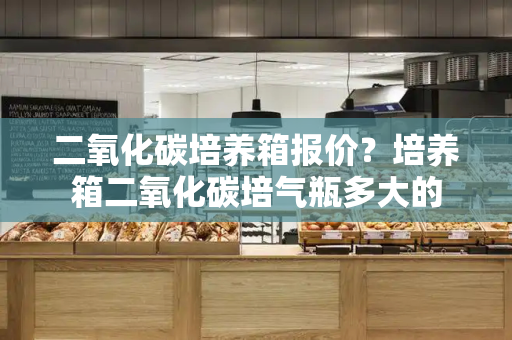 二氧化碳培养箱报价？培养箱二氧化碳培气瓶多大的