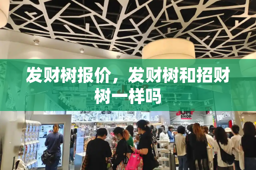 发财树报价，发财树和招财树一样吗