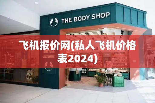 飞机报价网(私人飞机价格表2024)-第1张图片-星选测评
