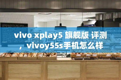 vivo xplay5 旗舰版 评测，vivoy55s手机怎么样