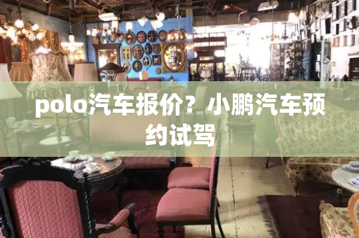 polo汽车报价？小鹏汽车预约试驾