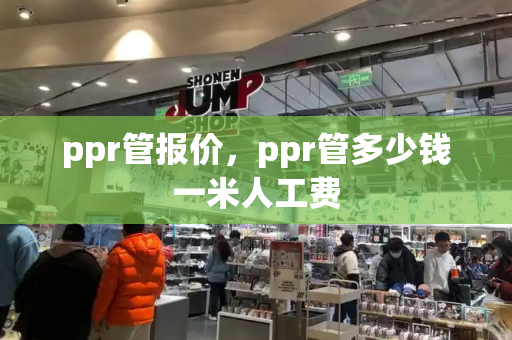 ppr管报价，ppr管多少钱一米人工费-第1张图片-星选测评