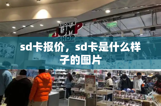 sd卡报价，sd卡是什么样子的图片-第1张图片-星选测评