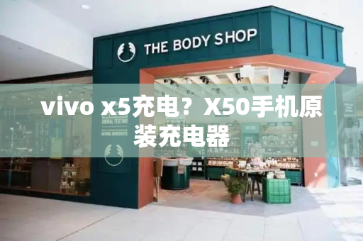 vivo x5充电？X50手机原装充电器-第1张图片-星选测评