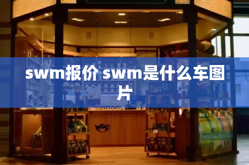 swm报价 swm是什么车图片