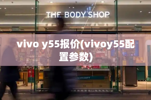 vivo y55报价(vivoy55配置参数)