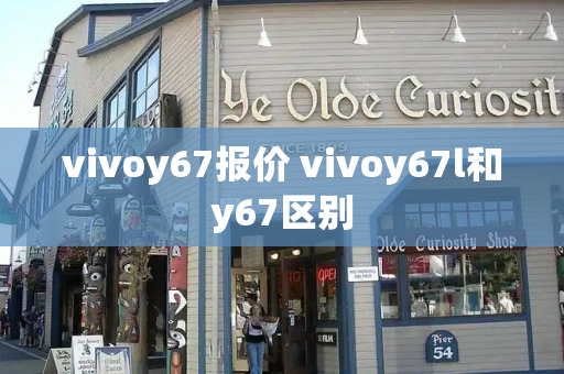 vivoy67报价 vivoy67l和y67区别-第1张图片-星选测评
