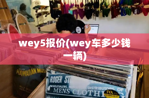 wey5报价(wey车多少钱一辆)-第1张图片-星选测评