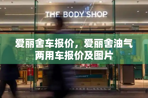 爱丽舍车报价，爱丽舍油气两用车报价及图片
