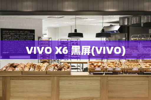 VIVO X6 黑屏(VIVO)