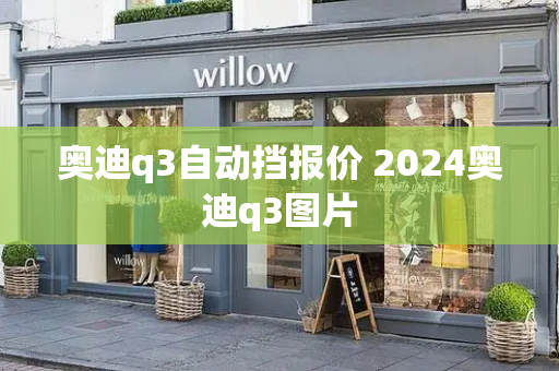 奥迪q3自动挡报价 2024奥迪q3图片-第1张图片-星选测评
