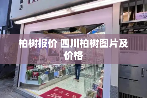 柏树报价 四川柏树图片及价格