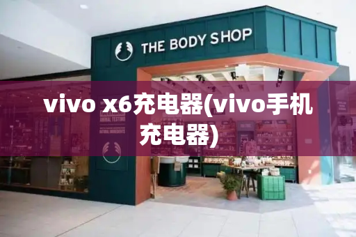 vivo x6充电器(vivo手机充电器)