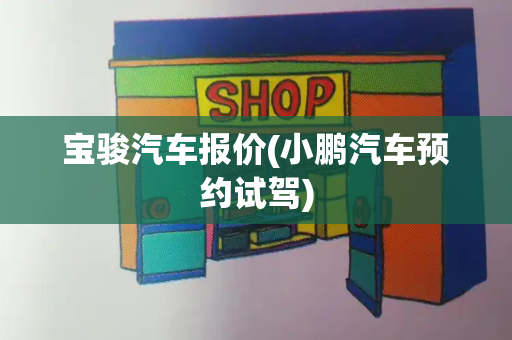 宝骏汽车报价(小鹏汽车预约试驾)-第1张图片-星选测评