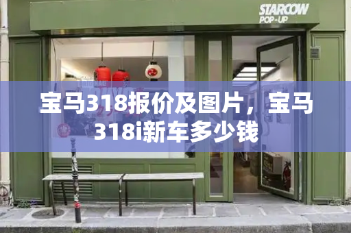 宝马318报价及图片，宝马318i新车多少钱