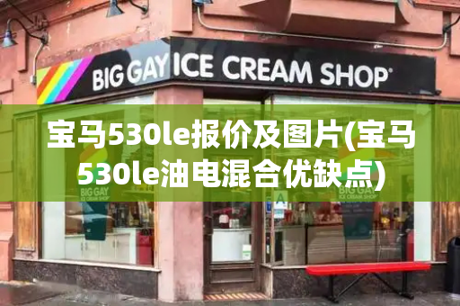 宝马530le报价及图片(宝马530le油电混合优缺点)-第1张图片-星选测评