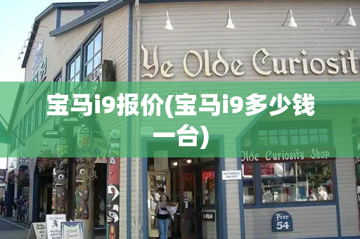 宝马i9报价(宝马i9多少钱一台)