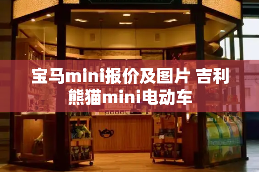 宝马mini报价及图片 吉利熊猫mini电动车