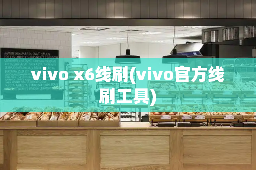 vivo x6线刷(vivo官方线刷工具)