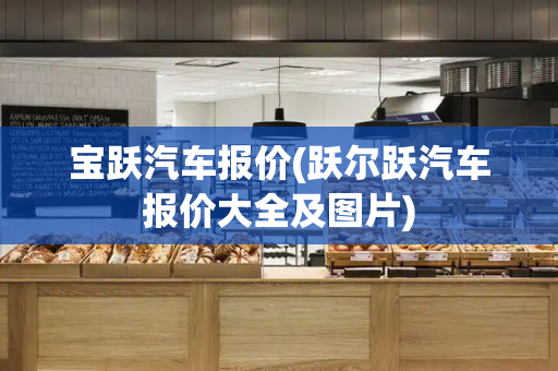 宝跃汽车报价(跃尔跃汽车报价大全及图片)-第1张图片-星选测评