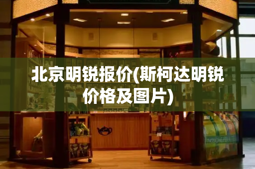 北京明锐报价(斯柯达明锐价格及图片)
