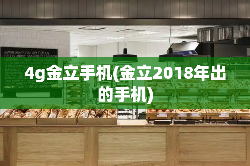 4g金立手机(金立2018年出的手机)