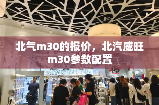 北气m30的报价，北汽威旺m30参数配置