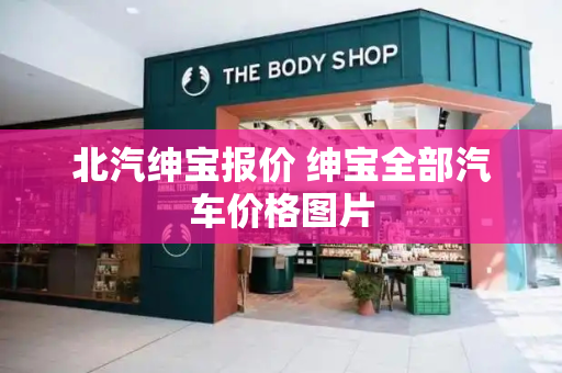 北汽绅宝报价 绅宝全部汽车价格图片