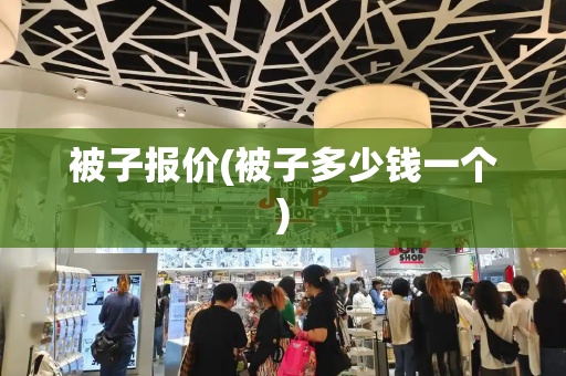 被子报价(被子多少钱一个)-第1张图片-星选测评
