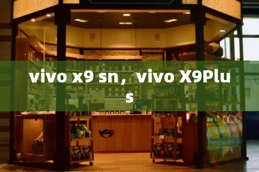 vivo x9 sn，vivo X9Plus