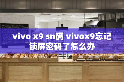 vivo x9 sn码 vivox9忘记锁屏密码了怎么办