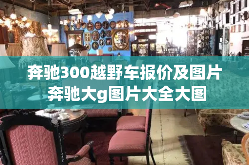 奔驰300越野车报价及图片 奔驰大g图片大全大图