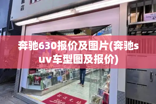 奔驰630报价及图片(奔驰suv车型图及报价)