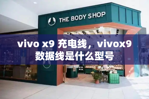 vivo x9 充电线，vivox9数据线是什么型号