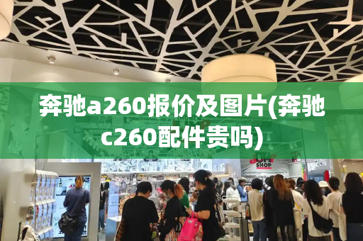 奔驰a260报价及图片(奔驰c260配件贵吗)
