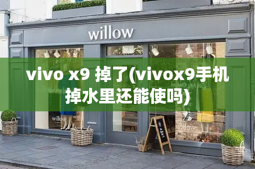 vivo x9 掉了(vivox9手机掉水里还能使吗)