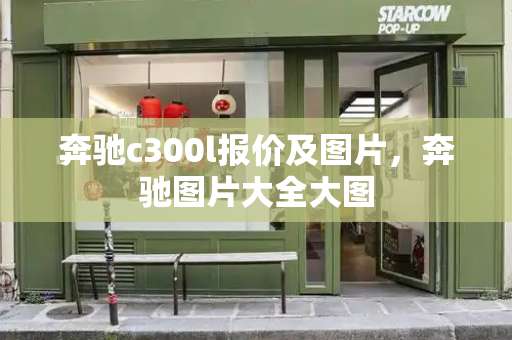 奔驰c300l报价及图片，奔驰图片大全大图