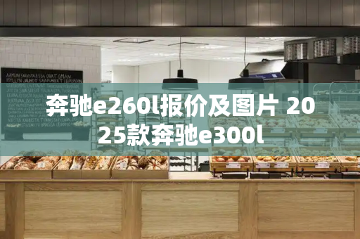 奔驰e260l报价及图片 2025款奔驰e300l