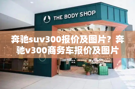 奔驰suv300报价及图片？奔驰v300商务车报价及图片-第1张图片-星选测评