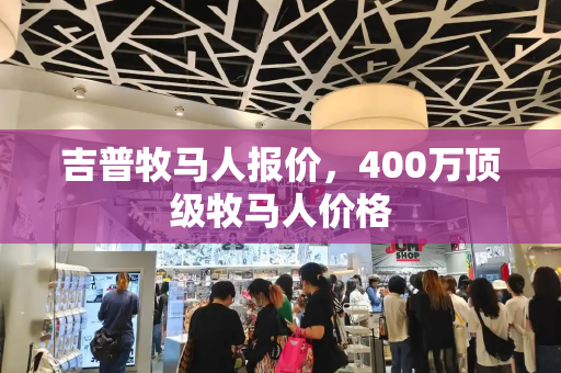 吉普牧马人报价，400万顶级牧马人价格-第1张图片-星选测评