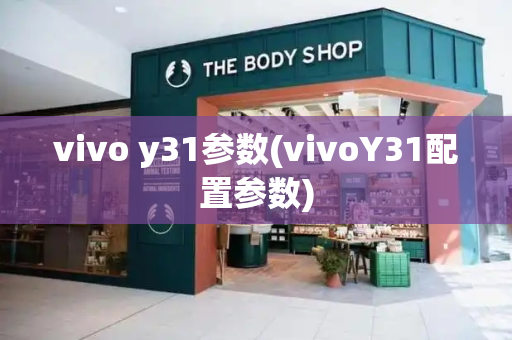 vivo y31参数(vivoY31配置参数)-第1张图片-星选测评