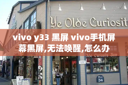 vivo y33 黑屏 vivo手机屏幕黑屏,无法唤醒,怎么办-第1张图片-星选测评