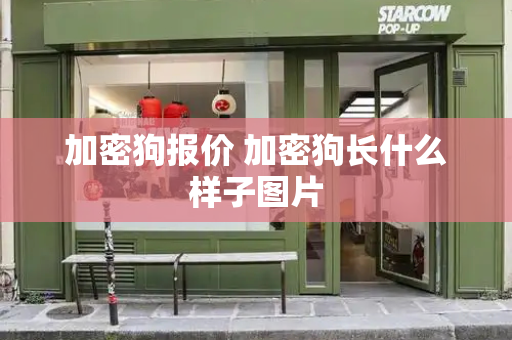 加密狗报价 加密狗长什么样子图片